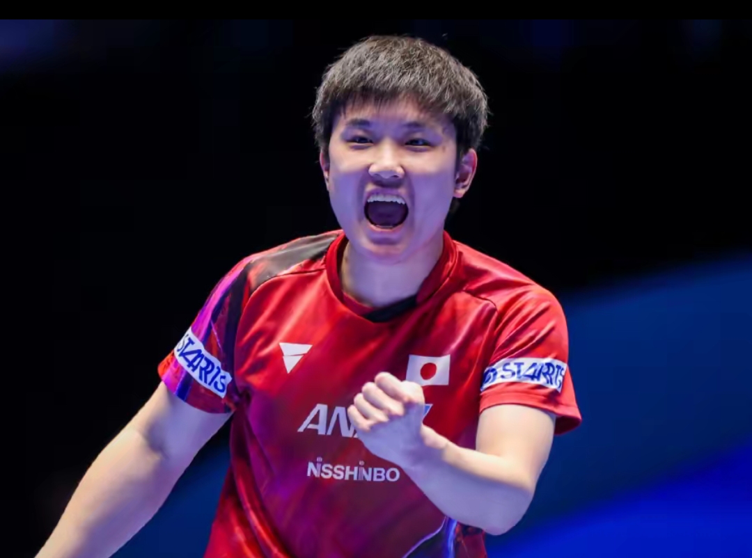 全真皮运动 全真皮运动