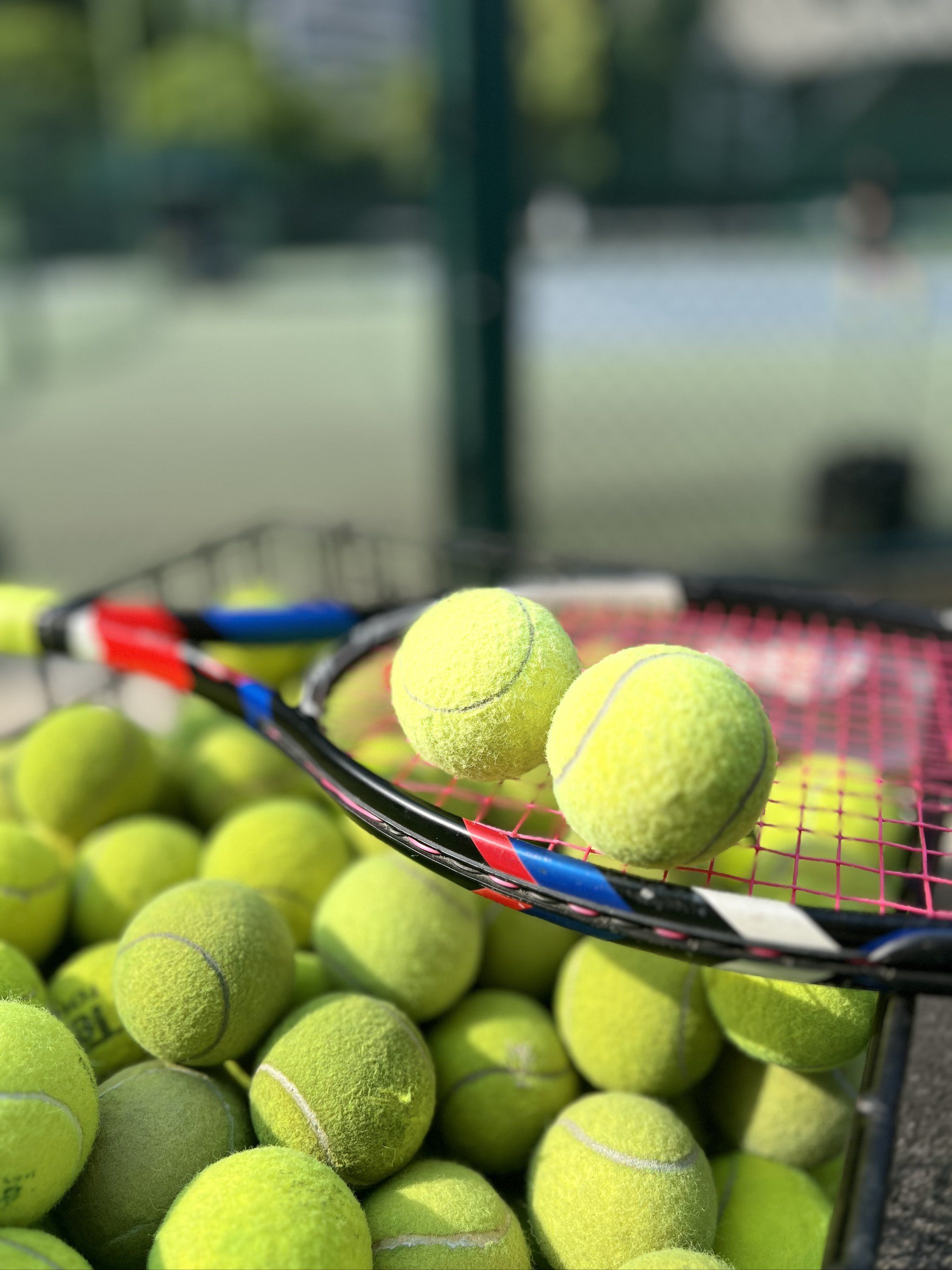 令西班牙队 令西班牙队