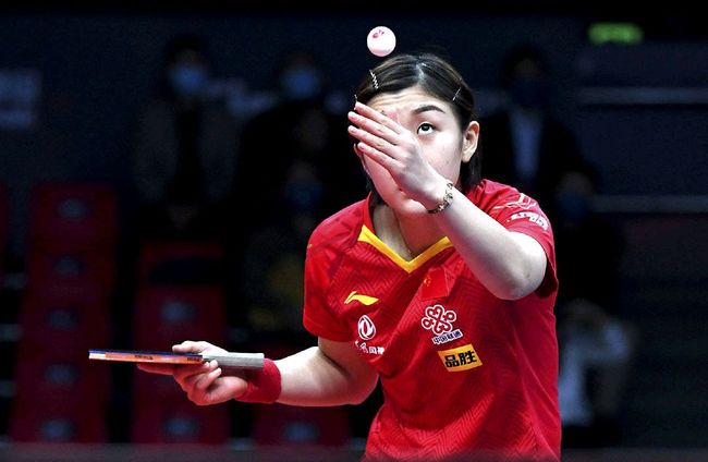 动会已成为 动会已成为